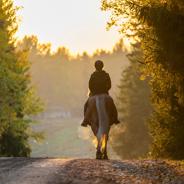 Fall Vaccinations for At-Risk Horses