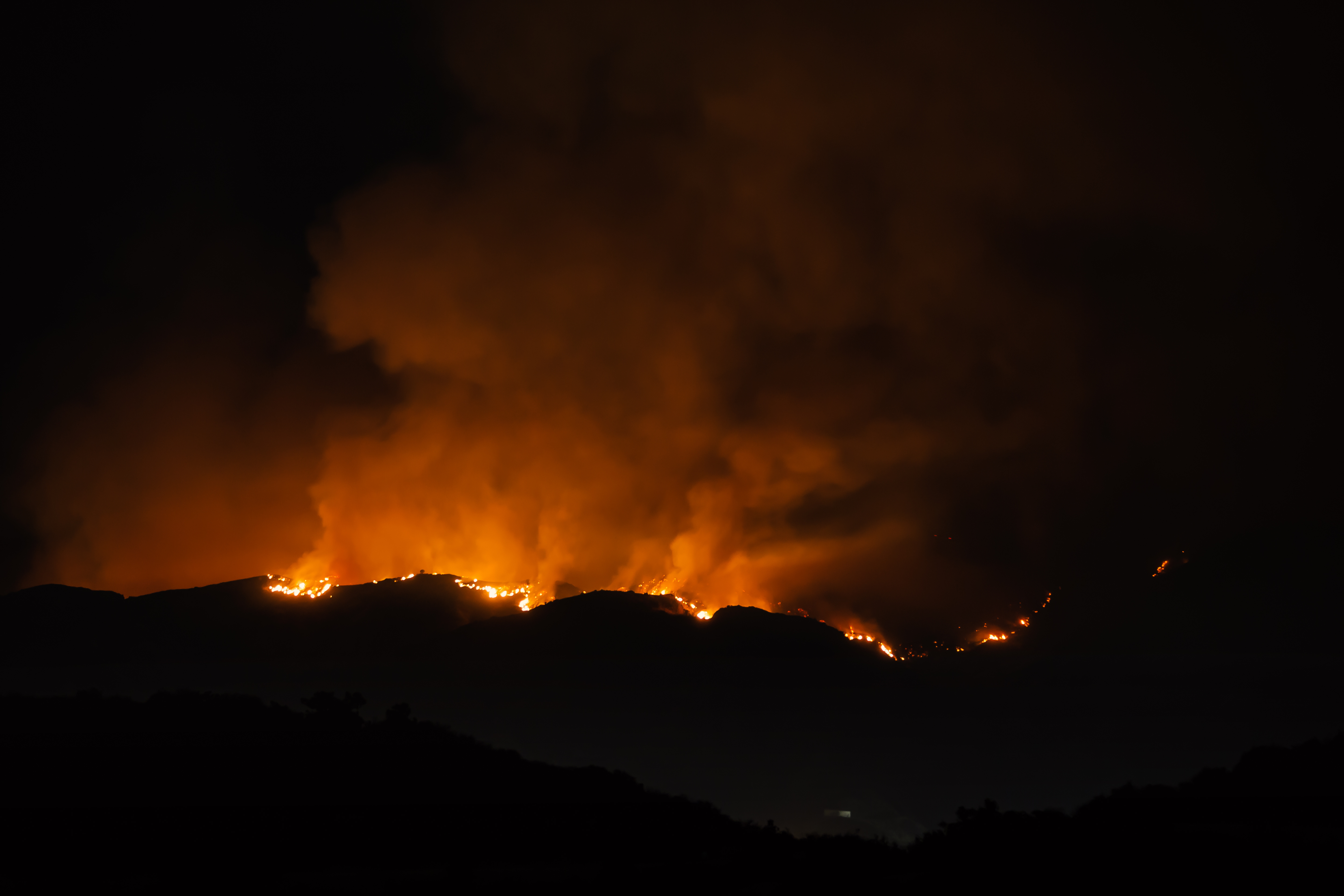 LA Fires Continue to Strain Equestrian Communities as Horses Face Urgent Rescue