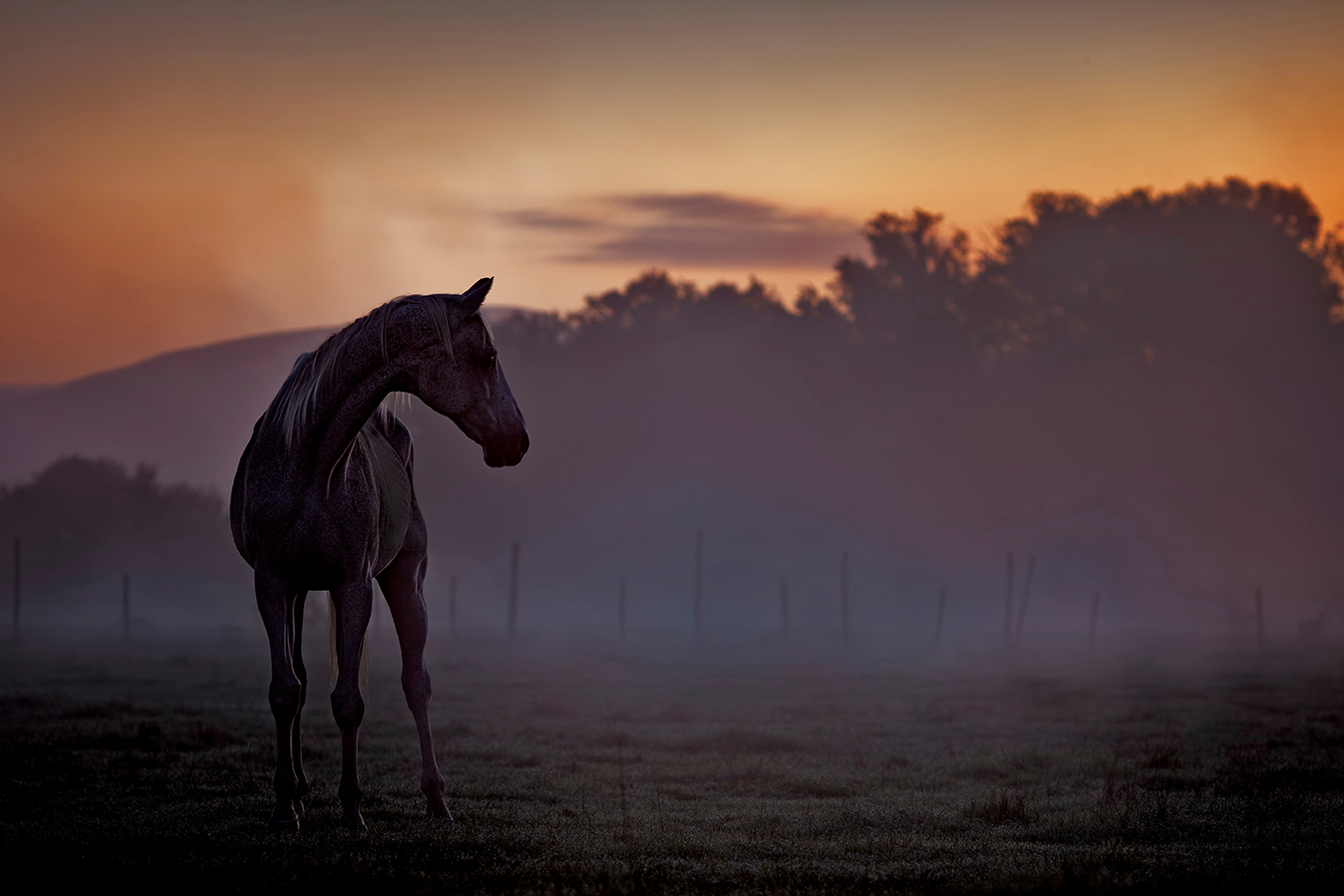 What the Current EHM Outbreak Is Teaching Us
