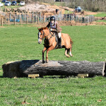 Junior North American Field Hunter National Championship