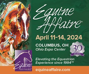 Equine Affair top banner