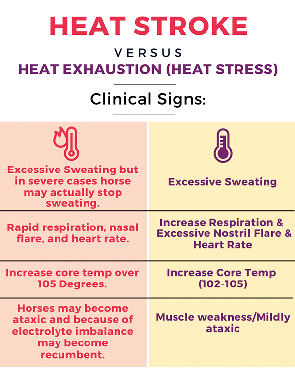 heat stroke chart