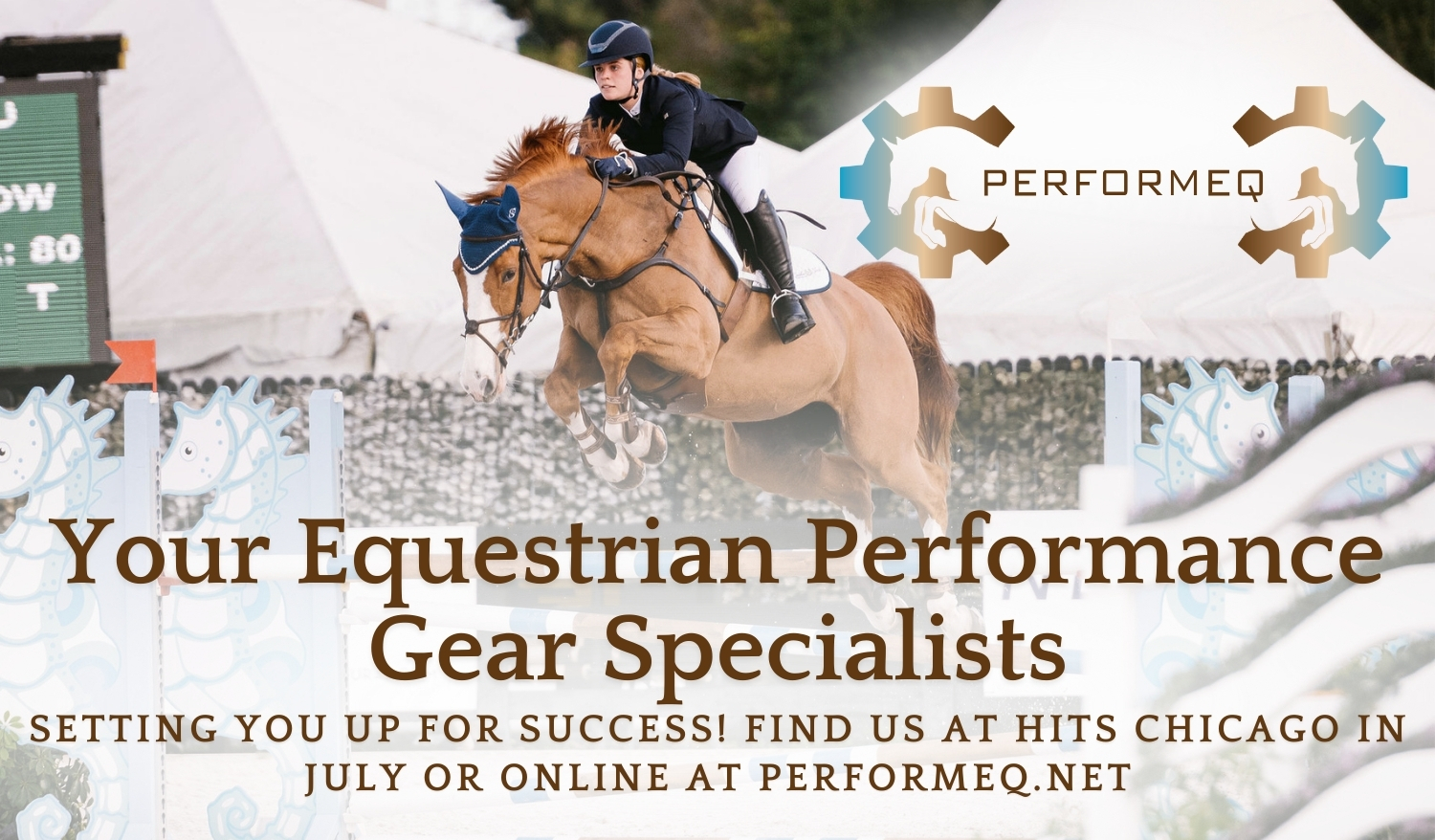 Your Equestrian Performance Gear Specialists