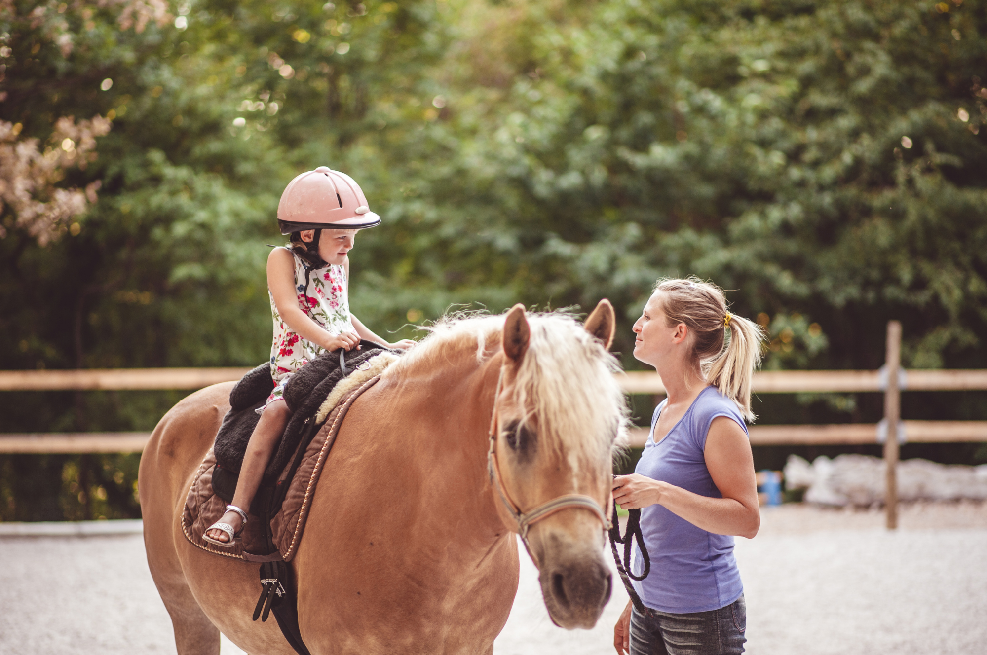 Building an Inclusive Equestrian Community: Bridging Gaps in the Hunter/Jumper Space