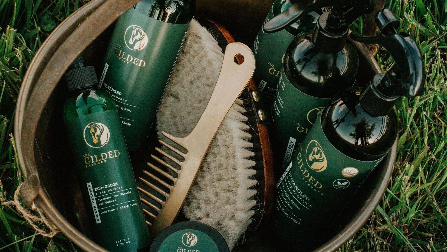 Horse Talk Podcast: Natural Horse Care and The Gilded Paddock Story