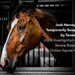 Investigation Reveals Concerns at Outlaw Equine Hospital Following EIA Outbreak