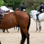 The Cost of Entry: Are Show Fees Pricing Riders Out?