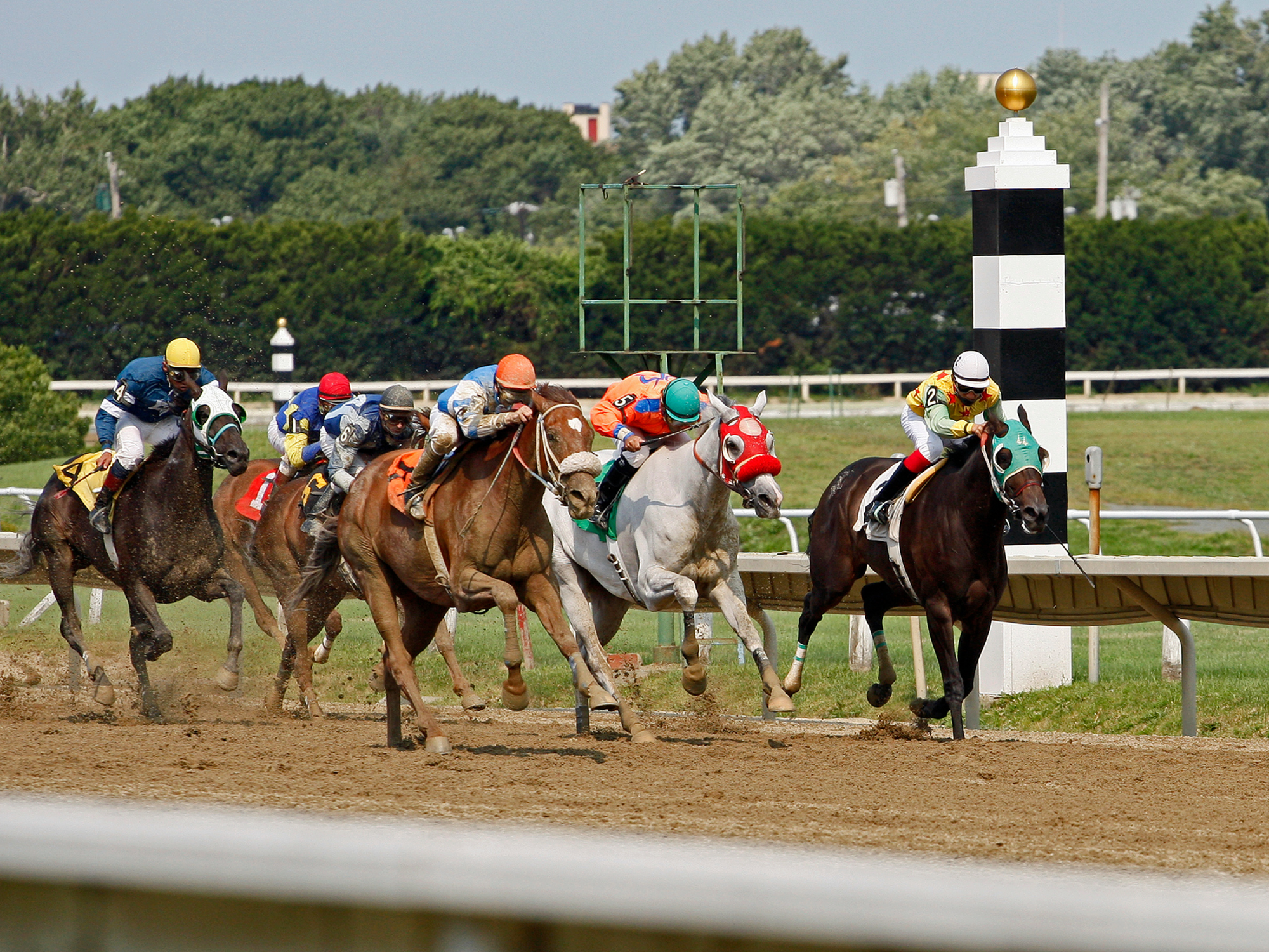 Breaking: Thorpedo Anna May Retire, Sovereignty Tops NTRA Poll & Bentornato Ownership Up for Sale