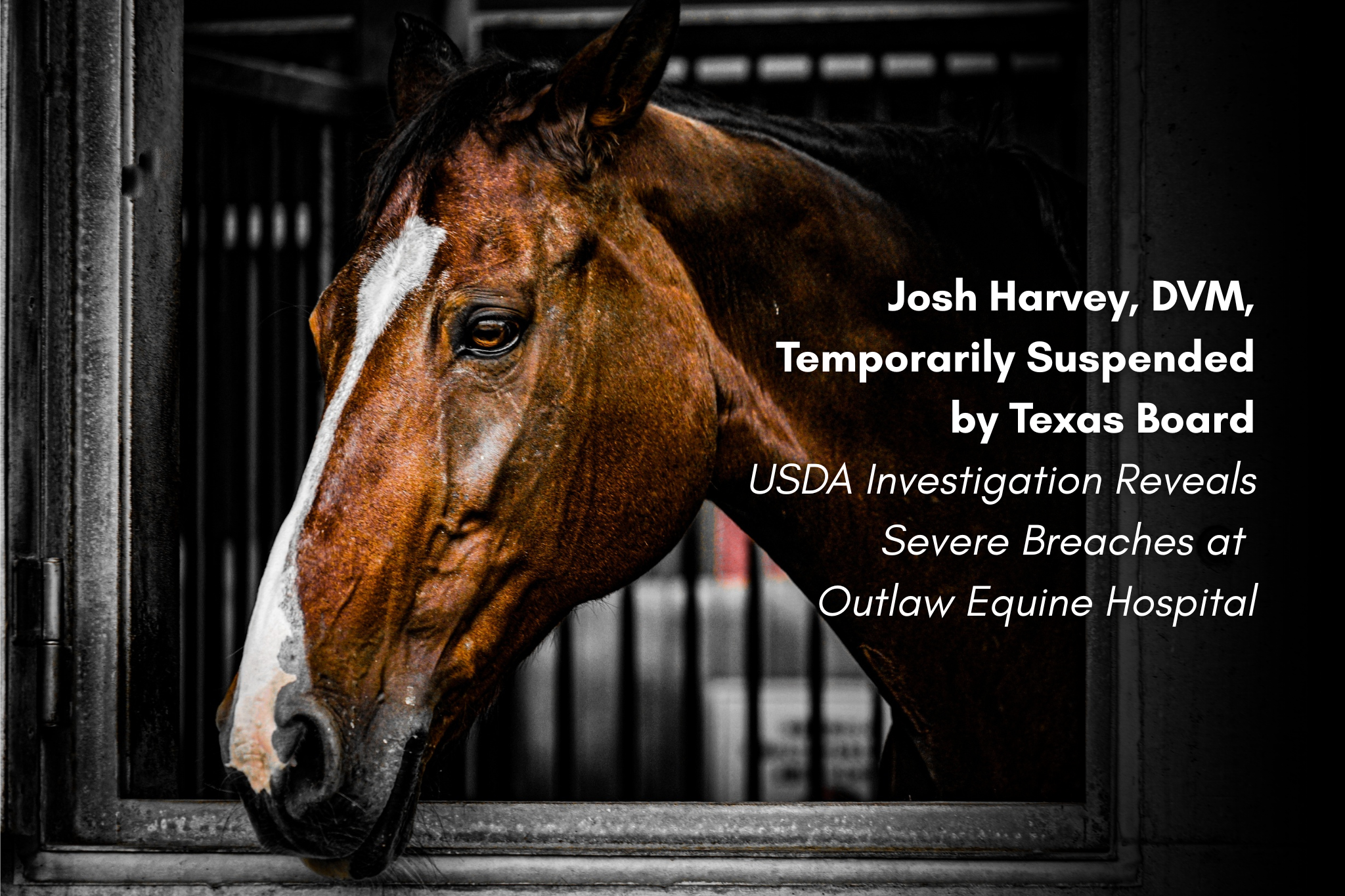 Investigation Reveals Concerns at Outlaw Equine Hospital Following EIA Outbreak