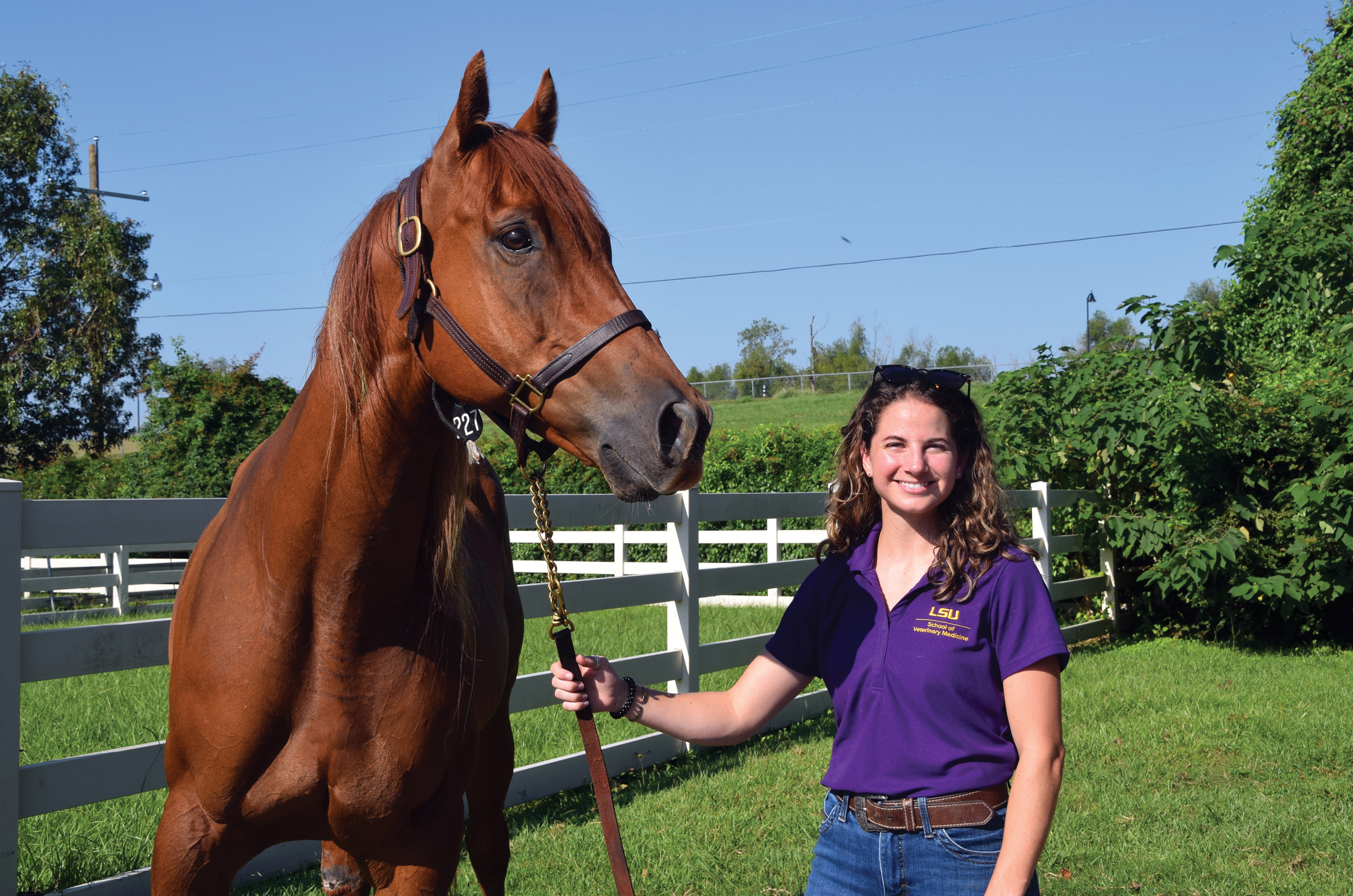 Maddie Veterinary Technician Award THR 2024