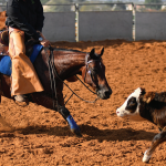 The Legacy “Showdown of the Future” Youth Horse Show