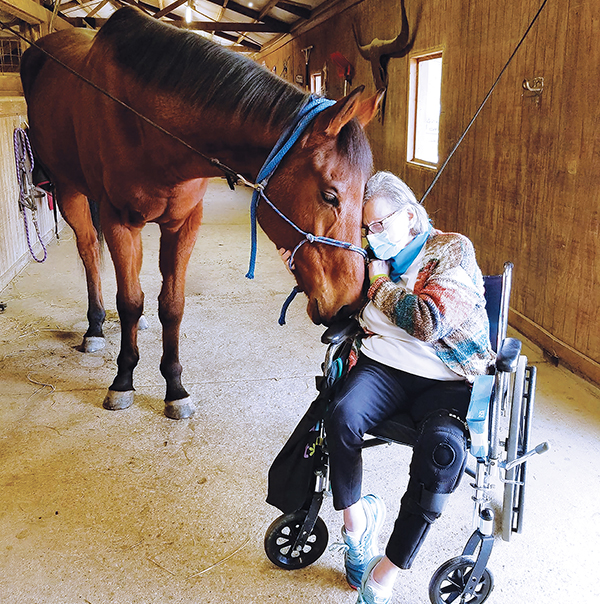 Unbridled Comfort: The Profound Influence of Horses in Therapy