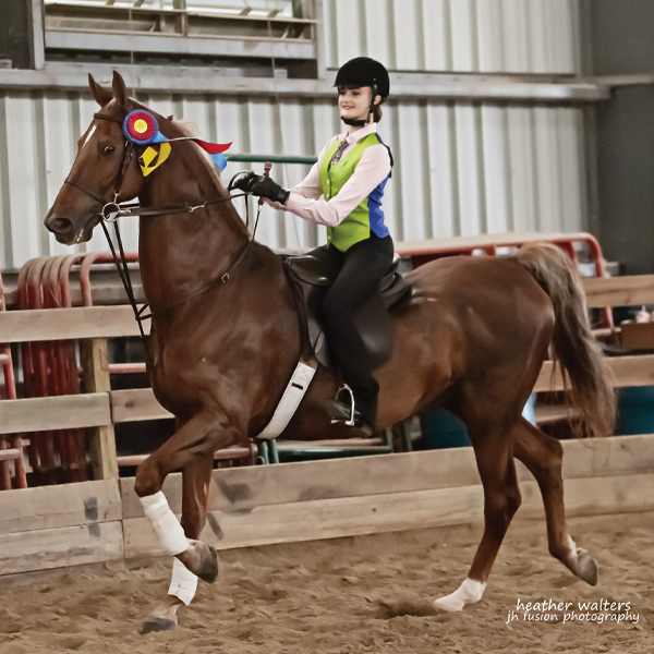 Olivia Newman: Young Riders Who Lead Honoree