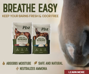 PdZ jan bottom article