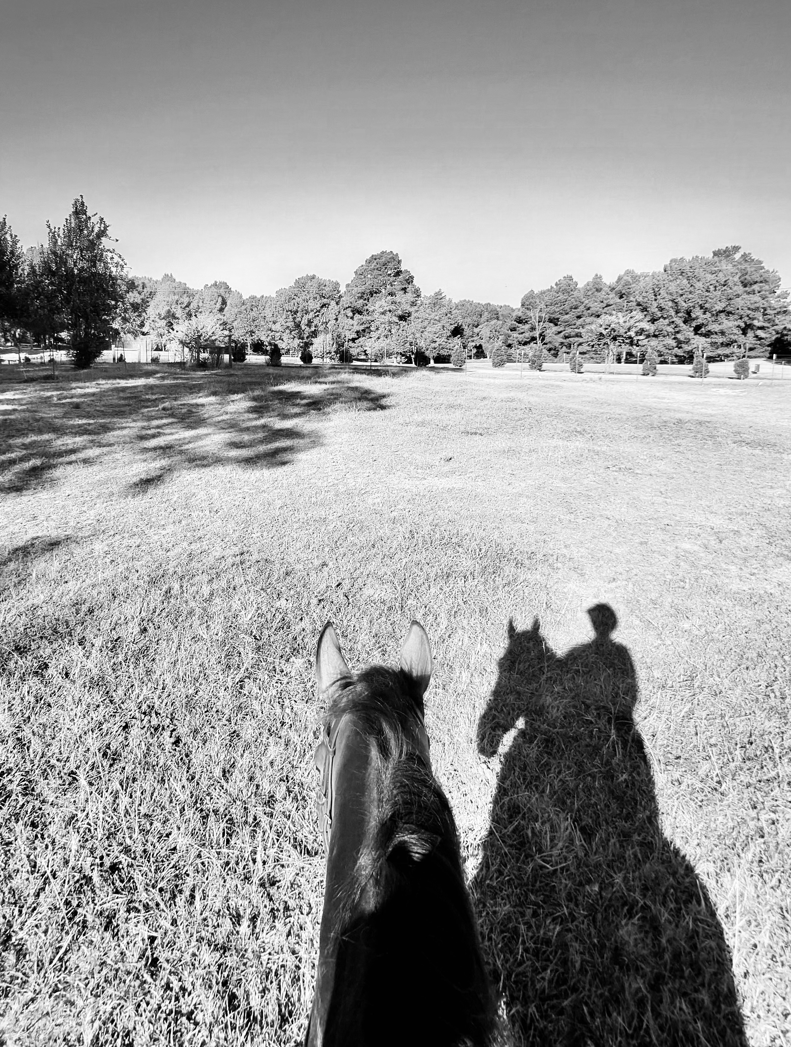 Opinion: I Don’t Spend My Nights Worrying About What USEF Is Doing