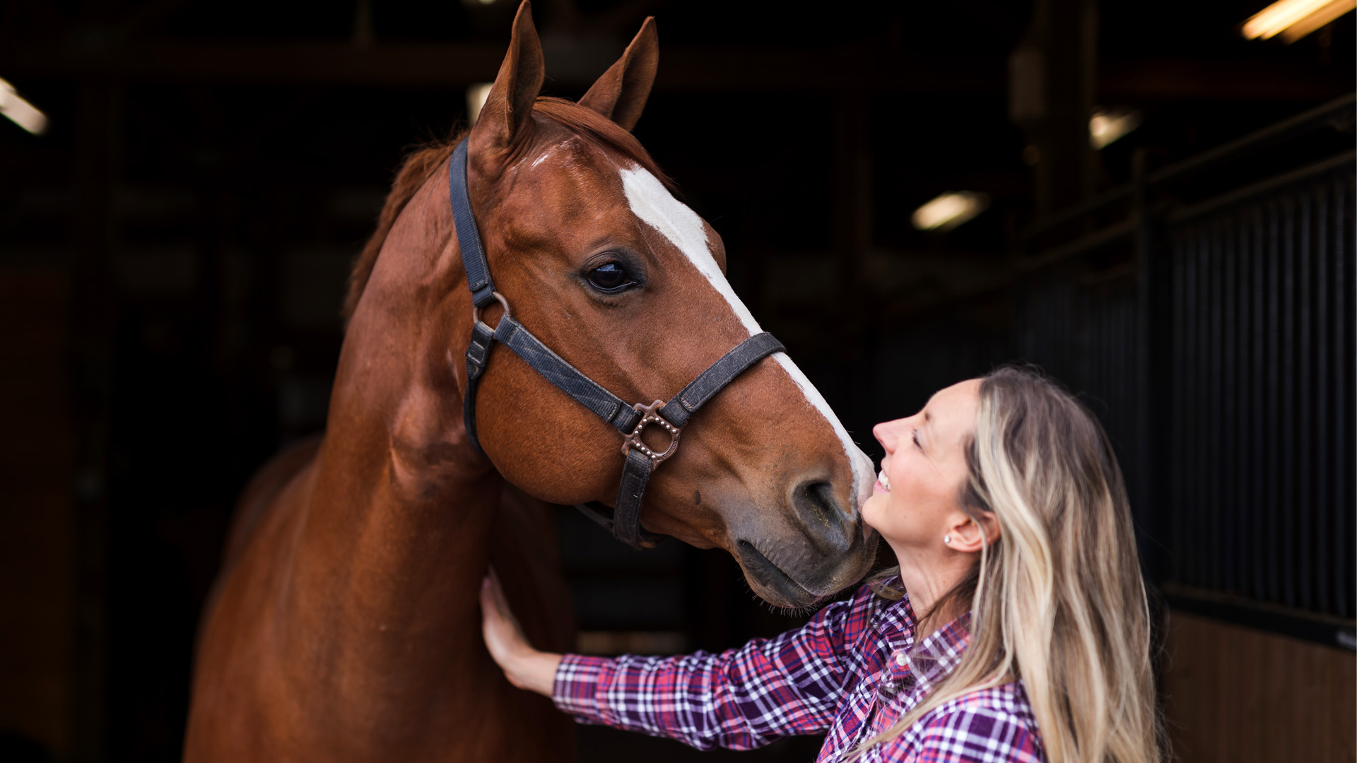 Purina Animal Nutrition Announces Ambition for Every Horse in America to Reach Optimal Body Condition