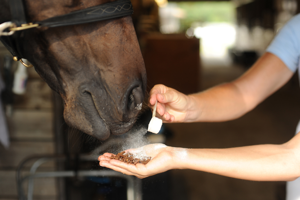 Alleviating Equine Stress with StressLess® Equine Calming Supplement