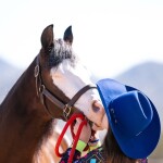 When Dreams Strike True: The Story of Blue Thunder  and Savannah