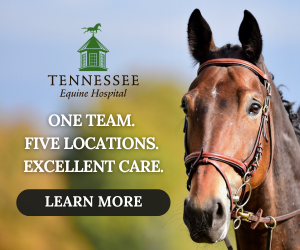TN equine Jan article