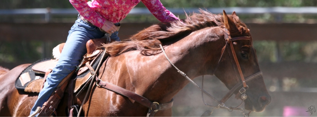 Barrel Futurities of America Suspends Oklahoma Event Due to EHM Positives