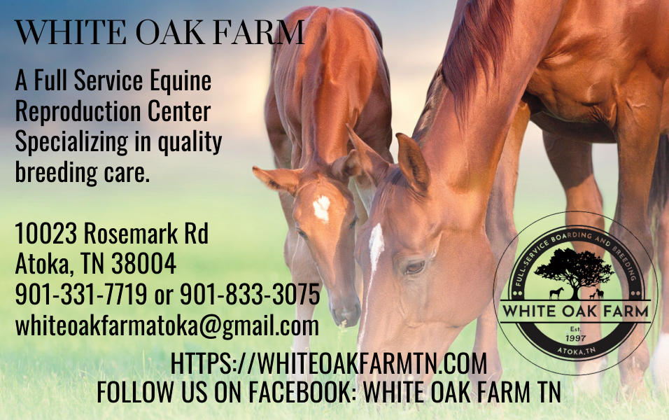 White Oak bc-1